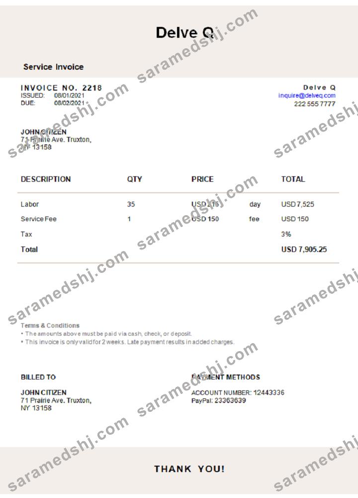 USA Delve Q invoice